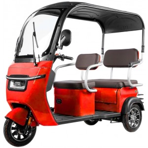 Elektrinis triratis dvivietis motoroleris MQ PRO su stogeliu, 1000W, AC, EEC